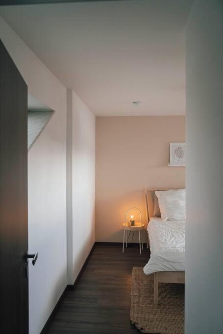 Gemuetliche Wohnung Nahe Kurpark 바트리프스프린제 외부 사진